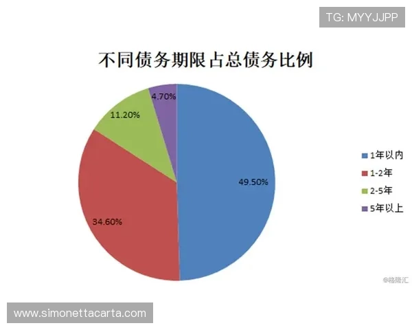 赖斯技术引领创新潮流，表现稳健推动行业变革新进程
