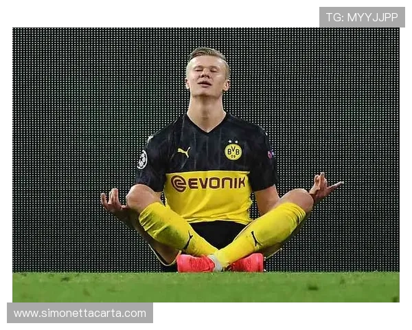 哈兰德冥想庆祝