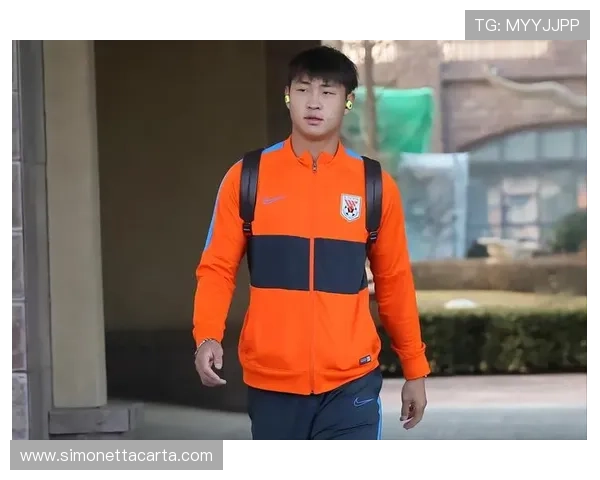 荷兰国家队身披橙色战袍，近期表现稳健