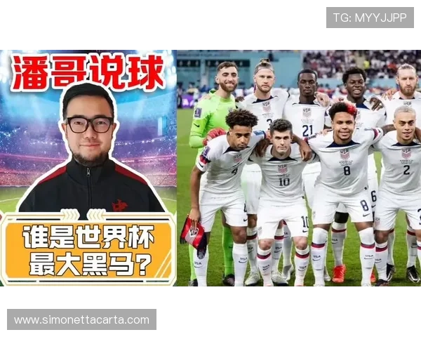 世界杯E组黑马球队全面分析